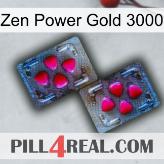 Zen Power Gold 3000 15